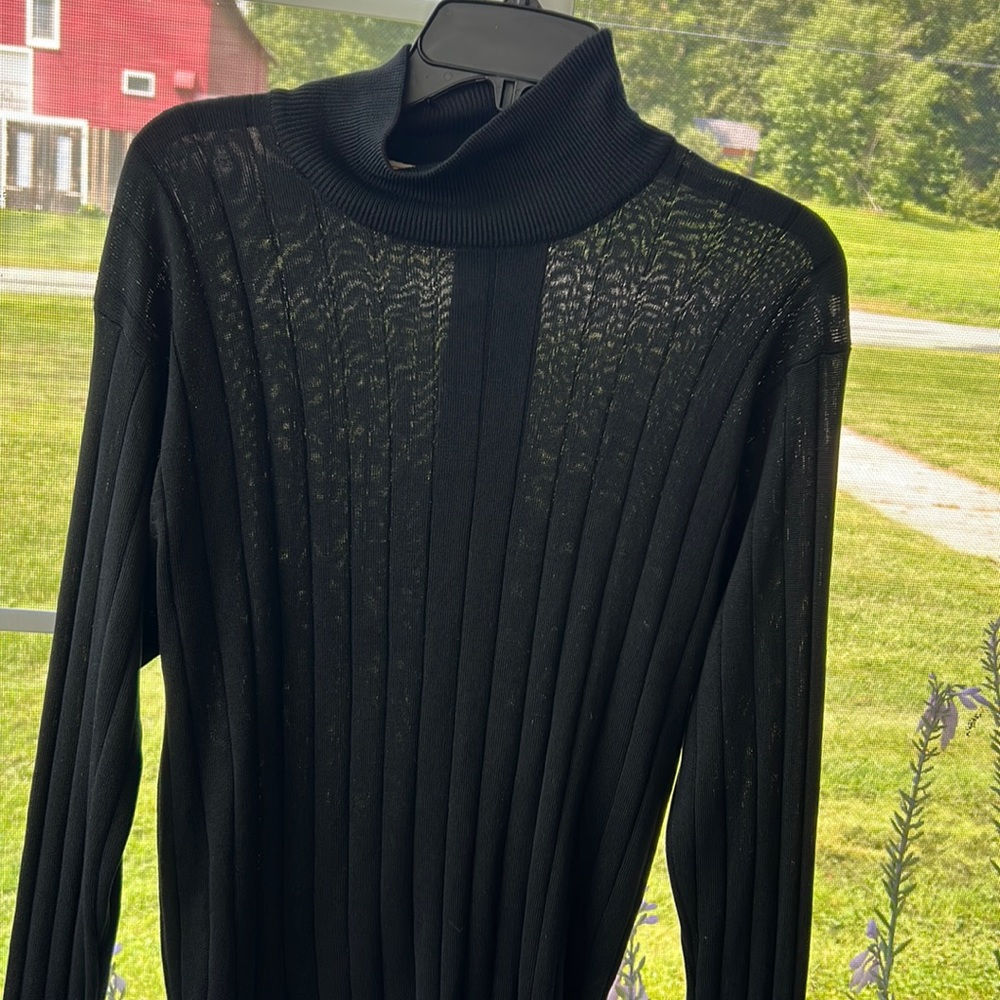 Talbots 100 % silk turtleneck